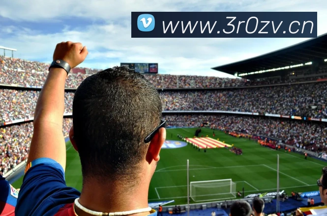 多媒体互动体验